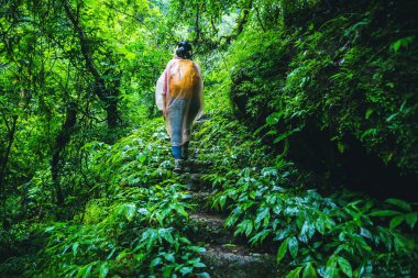 Asyalı kadınlar seyahat Bir resim Doğa Çalışması alın. Tayland Doi intanon Chiangmai Mae-pan yağmurlu sezon en yüksek şelale seyahat.