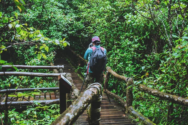 Hombre asiático viajar naturaleza. Tomar una foto Estudio de la naturaleza en la selva en Chiangmai en Tailandia . —  Fotos de Stock