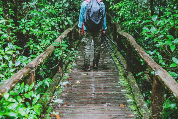 Hombre asiático viajar naturaleza. Tomar una foto Estudio de la naturaleza en la selva en Chiangmai en Tailandia . —  Fotos de Stock