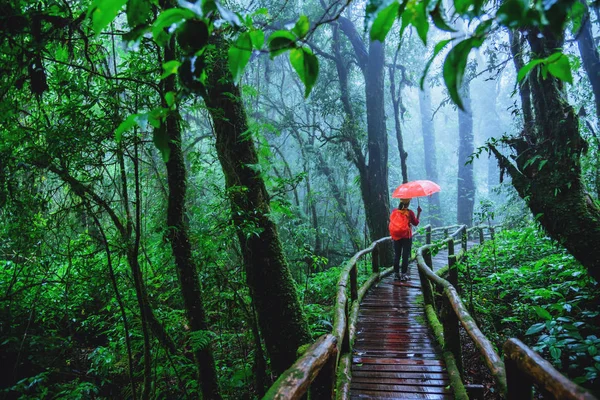 Las mujeres asiáticas viajan relajarse Nature Study in the Jungle en Chiangmai en Tailandia . — Foto de Stock