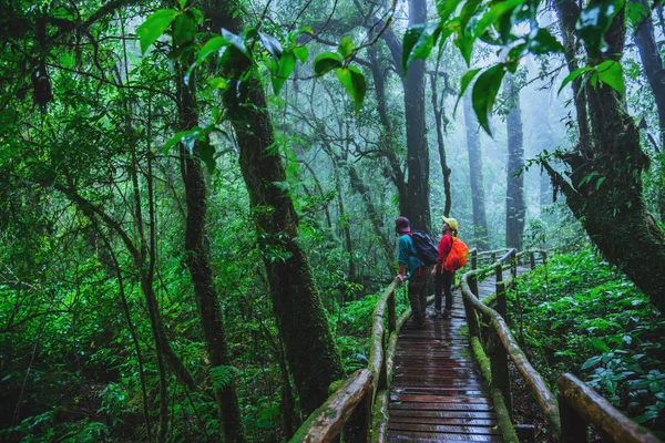 Amante del hombre asiático y las mujeres asiáticas viajan naturaleza. Estudio de la naturaleza en la selva tropical de Chiangmai en Tailandia . — Foto de Stock