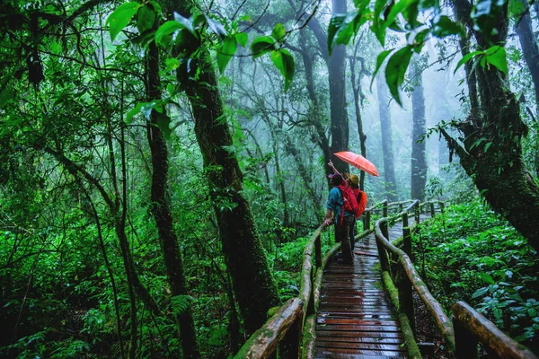 Amante del hombre asiático y las mujeres asiáticas viajan naturaleza. Estudio de la naturaleza en la selva tropical de Chiangmai en Tailandia . — Foto de Stock