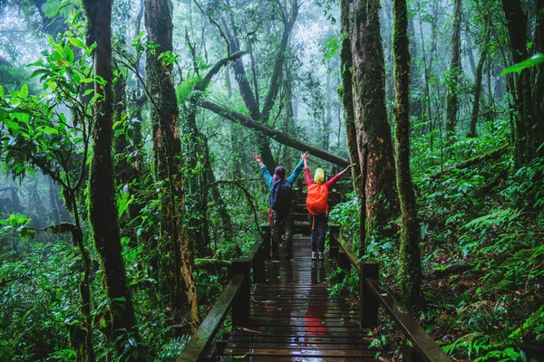 Lover Asian man and Asian women travel nature. Nature Study in the rain forest at Chiangmai in Thailand.