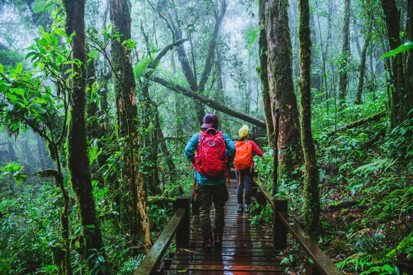Amante del hombre asiático y las mujeres asiáticas viajan naturaleza. Estudio de la naturaleza en la selva tropical de Chiangmai en Tailandia . — Foto de Stock