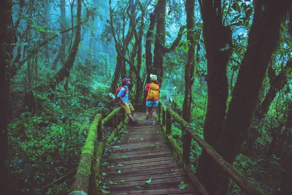 Lover Asian man and Asian women travel nature. Nature Study in the rain forest at Chiangmai in Thailand.