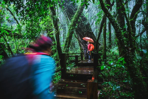 Amante del hombre asiático y las mujeres asiáticas viajan naturaleza. Estudio de la naturaleza en la selva tropical de Chiangmai en Tailandia . — Foto de Stock