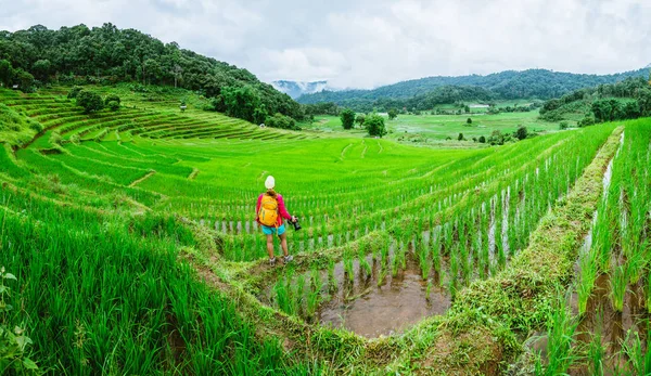 Asian kobiety podróżować natura relaks chodzenie a Photo na The ryż pole w pora deszczowa w Chiang Mai, Tajlandia. — Zdjęcie stockowe