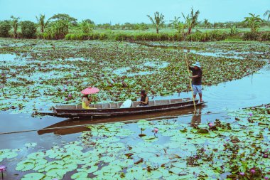 turist bir kürek teknede otur bataklık lotus izle