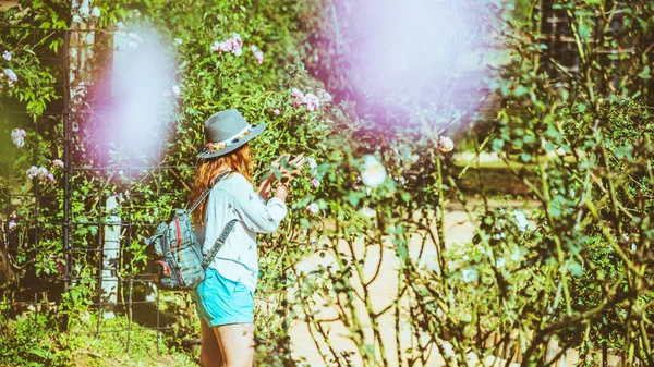 Asijský muž cestuje přírodou. Cestování je v klidu. V zahradě růží — Stock fotografie