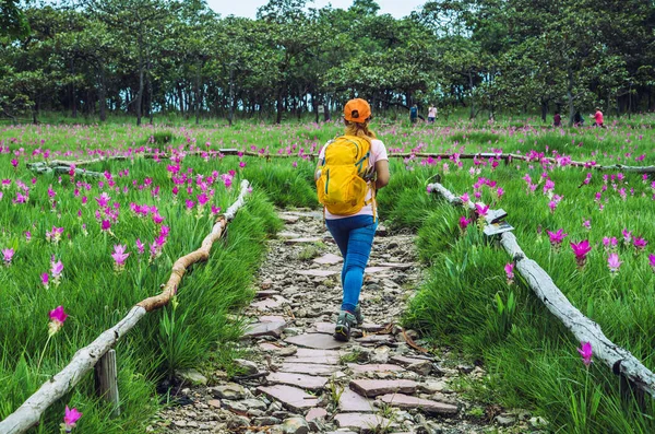 Asiatische Frau reisen die Natur. Reisen entspannen. Fotografie Gurke — Stockfoto