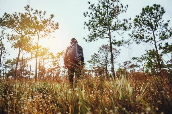Азиатский человек путешествует природой. Отдыхай. Рюкзак прогулки в лесу. Таиланд

