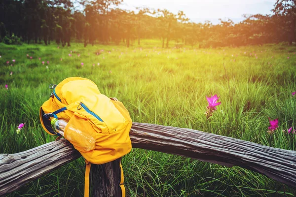 Perjalanan alam, Travel bersantai, tas perjalanan ransel ditempatkan di pagar kayu . — Stok Foto