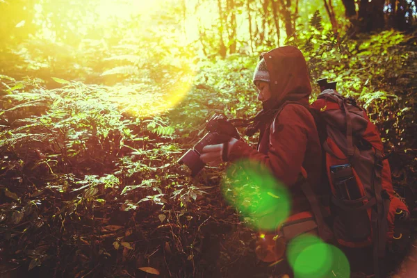 Mujer asiática viaje naturaleza. Relájate. Fotógrafo caminar en el camino. Nature Study in the Jungle. La chica viaja por la naturaleza Bosque lluvioso. montaña, mochila, al aire libre, vacaciones, relajarse, viajar Tailandia. Mujeres asiáticas Fotografía de viaje Naturaleza . — Foto de Stock