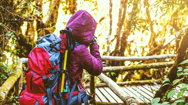 亚洲女人旅行自然。旅行放松。摄影师走在小路上。丛林中的自然研究。女孩旅游自然森林下雨。山， 背包， 户外， 假期， 放松， 旅行泰国.亚洲 妇女 旅行 照片 自然. — 图库照片