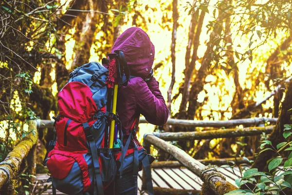 Mulher asiática viajar natureza. Descontrai. Fotógrafo anda no caminho. Estudo da Natureza na Selva. A menina viaja natureza Floresta chuvosa. montanha, Mochila, ao ar livre, férias, relaxar, viajar Tailândia. Mulheres asiáticas Fotografia de viagem Natureza . — Fotografia de Stock