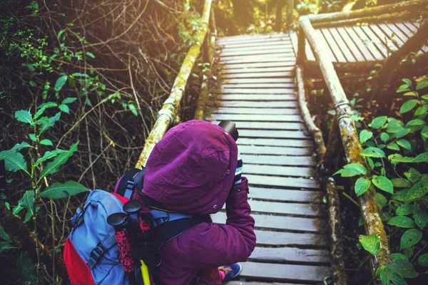 Mulher asiática viajar natureza. Descontrai. Fotógrafo anda no caminho. Estudo da Natureza na Selva. A menina viaja natureza Floresta chuvosa. montanha, Mochila, ao ar livre, férias, relaxar, viajar Tailândia. Mulheres asiáticas Fotografia de viagem Natureza . — Fotografia de Stock