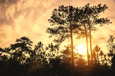 Dağın arkasına düşen güzel güneşin ışığı. Güneş doğma, Gün batımı, Dağ, kırsal, yaz, doğa, macera, açık hava, tatil, dinlenmek, seyahat Tayland.