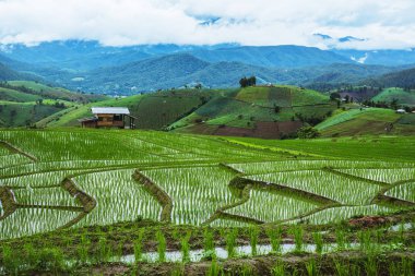 Dağda peyzaj alanı. Yağmurlu sezonda. Köy