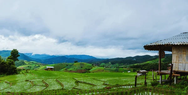 Landskap sätter in på berg. Under regn perioden. Den Villag — Stockfoto