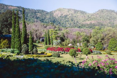 Arka plan doğal peyzaj parkları. Dağda. Tayland chiangmai khunwang