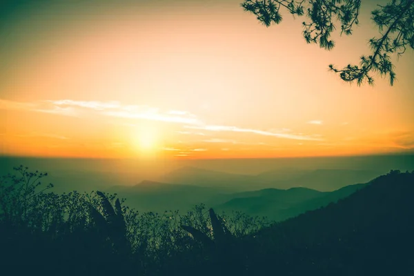 Wallpaper background garden park outdoor Sunsets, mountains. phurue thailand Tropical forests — Stock Photo, Image