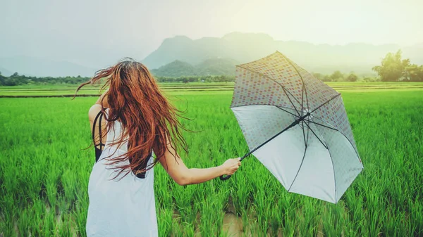 Asijské ženy cestují relaxovat na dovolené. Ženy stojí v deštníčky. Na louce během období dešťů. V deštivé sezoně zde jezdí zelená rýžová pole. cestování Thajskem. — Stock fotografie