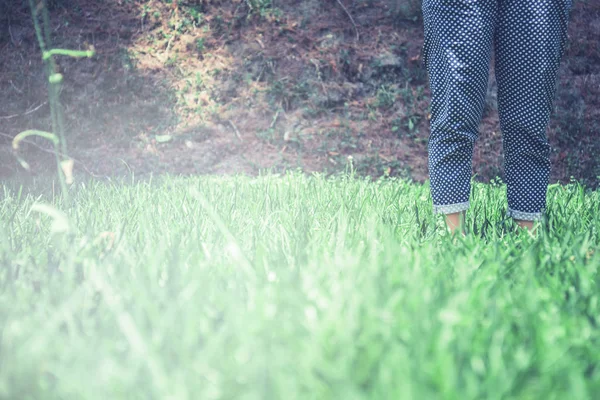 走在绿色草地上的妇女的腿。夏天， 性质， 户外， 假期， 放松 — 图库照片