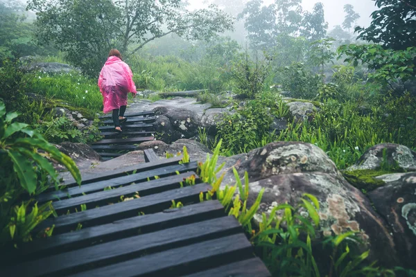 Asijské ženy cestují relaxovat. Ranní atmosféra přírodní les. cestování období dešťů, cestování, cestování relaxace, cestování Thajsko — Stock fotografie