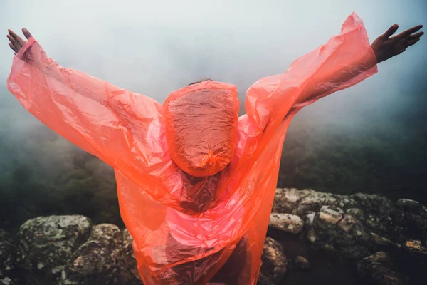 Asian women travel. Morning atmosphere nature Forests. walk in the forest rainy season. puhinrongkla, Mountain, Travel Thailand. — Stock Photo, Image