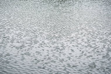 arka plan Yüzey su dalgaları. Stillwater. Doğal arka plan, su, Göl