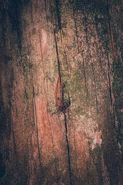 Естественный фон. Фактурный фон старого темно-коричневого дерева. Текстура древесина, фон, природа . — стоковое фото