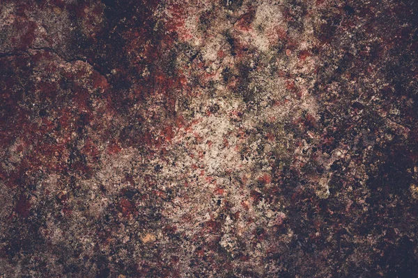 床の背景テクスチャサーフェスセメント。粗いセメントの床。コケを上げた古いコンクリートの表面。背景, 自然. — ストック写真