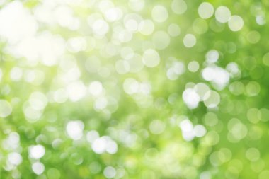 Soyut arka plan. parkta arka plan bulanıklık doğal ve hafif arka plan.