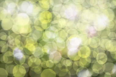 Soyut arka plan. parkta arka plan bulanıklık doğal ve hafif arka plan.