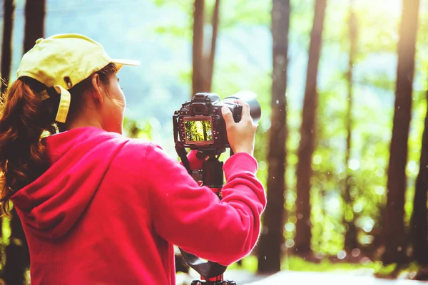 Fotografie Aziatische vrouw reizen natuur. Reizen ontspannen. Natuur studie. In het openbare park in de zomer. Nationaal Park Doi Inthanon in Thailand. — Stockfoto
