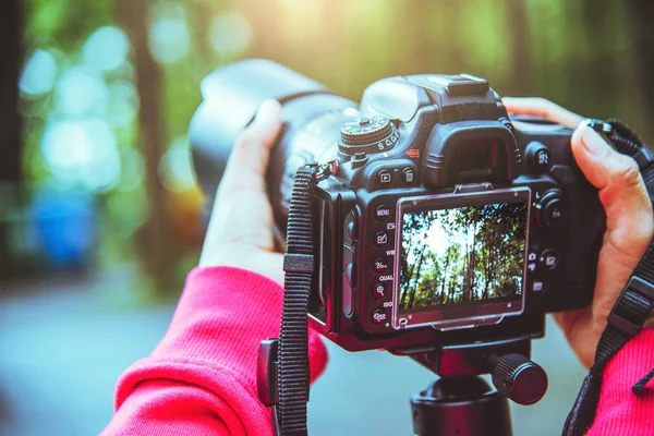 Fotografie Aziatische vrouw reizen natuur. Reizen ontspannen. Natuur studie. In het openbare park in de zomer. Nationaal Park Doi Inthanon in Thailand. — Stockfoto