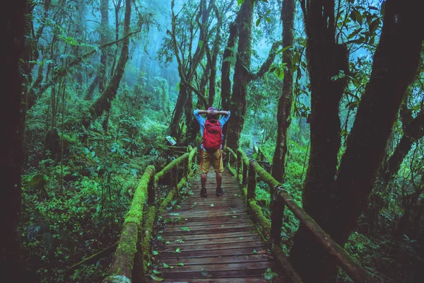 Hombre asiático viaje relajarse estudio de la naturaleza en la selva en Chiangmai en Tailandia . — Foto de Stock