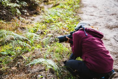 Fotoğrafçı Asyalı kadın Seyahat fotoğraf Doğa. ormanda tatil yürüyüşünde rahatlayın. tatilde rahatlayın. Tayland