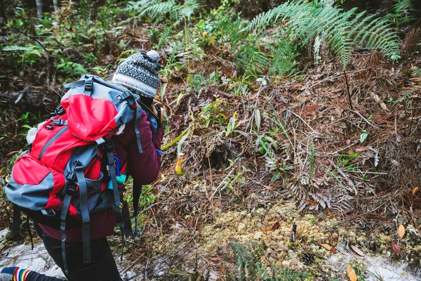 Fotografin asiatische Frauen auf Reisen fotografieren die Natur. Entspannen Sie sich auf dem Ferienspaziergang im Wald. Reisen entspannen im Urlaub. Thailand — Stockfoto