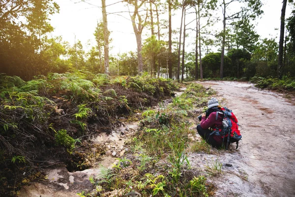 Fotografo donna asiatica Fotografia itinerante Natura. viaggio relax nella passeggiata vacanza nella foresta. viaggio relax in vacanza. Tailandia — Foto Stock