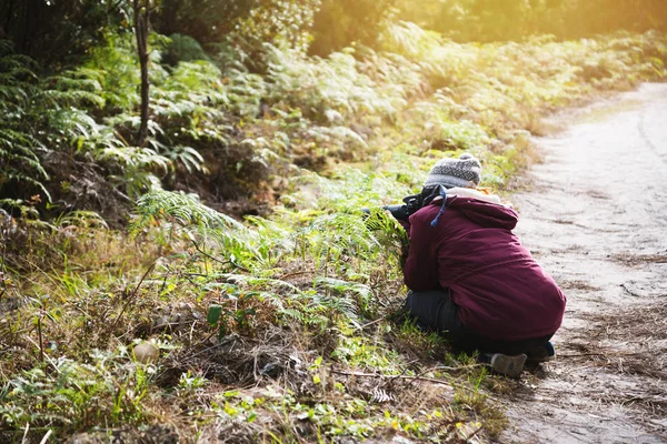 Fotograaf Aziatische vrouw reizen foto natuur. reis ontspannen in de vakantie wandeling in het bos. reis ontspannen in de vakantie. Thailand — Stockfoto