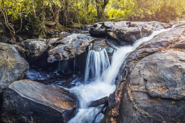 arka plan Duvar Kağıdı doğa Forest Hill Şelale. Tayland doi inthanon
