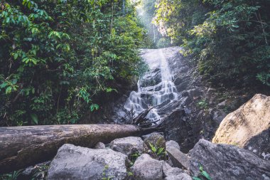arka plan Duvar Kağıdı doğa Forest Hill Şelale. Tayland doi inthanon
