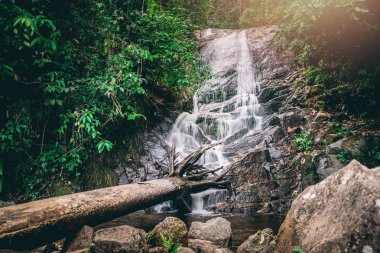 arka plan Duvar Kağıdı doğa Forest Hill Şelale. Tayland doi inthanon 