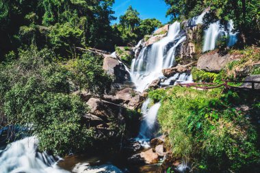 Doğal arka plan şelalesi. seyahat doğa. Seyahat şelale dinlenmek. Yazın. Tayland