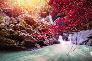 Doğal arka plan şelalesi. şelale Renkli yaprakları. Tayland tropikal