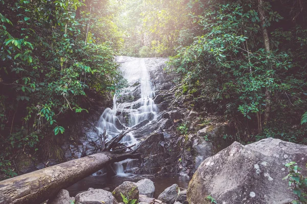 Fondo Fondos de pantalla naturaleza Forest Hill Waterfall. Tailandia doi inthanon — Foto de Stock