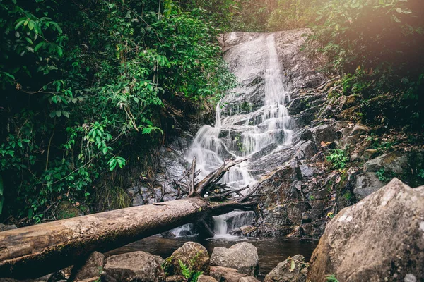 背景壁纸自然森林山瀑布。泰国 多伊·因泰翁 — 图库照片