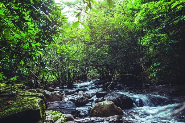 Шпалери для фону природи лісового пагорба водоспад. Тарн Раттана водоспад kaoyai Таїланд — стокове фото