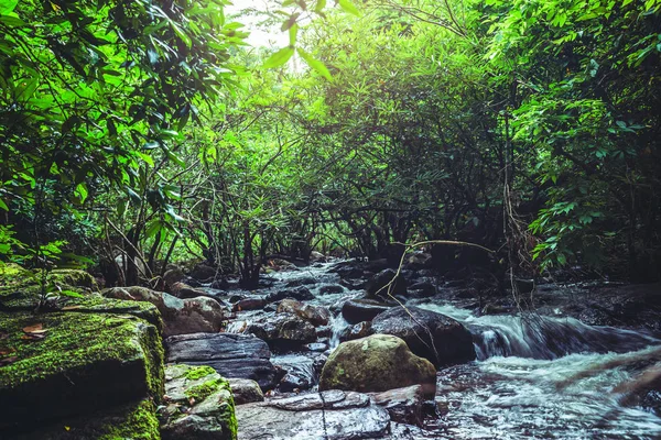 背景壁纸自然森林山瀑布。塔恩·拉塔纳瀑布考亚伊泰国 — 图库照片